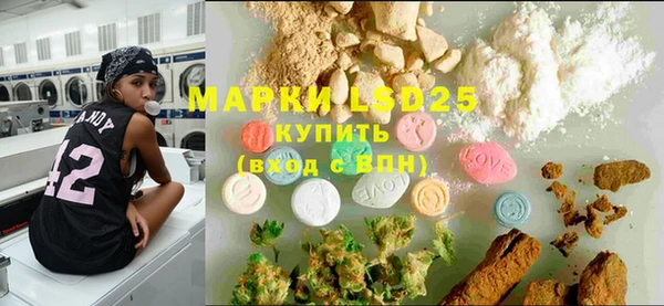 ECSTASY Белокуриха